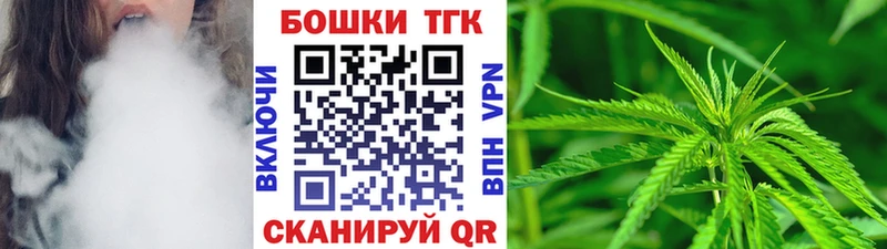 Купить закладку Галлюциногенные грибы  Меф мяу мяу  Гатчина