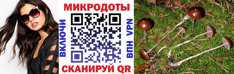 Псилоцибиновые грибы прущие грибы  Купить где  Гатчина 